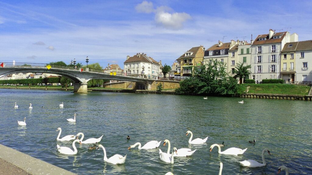 Bord de marne avec cygnes à Lagny sur Marne